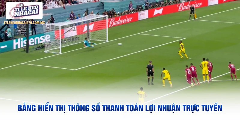 Bảng hiển thị thông số thanh toán lợi nhuận trực tuyến
