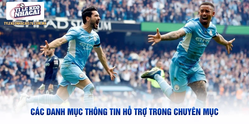 Các danh mục thông tin hỗ trợ trong chuyên mục