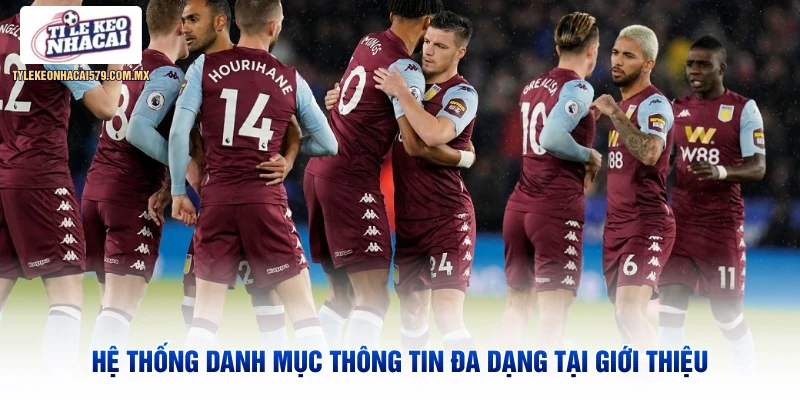 Hệ thống danh mục thông tin đa dạng tại giới thiệu