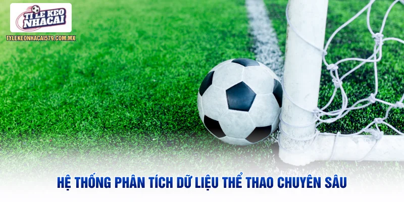 Hệ thống phân tích dữ liệu thể thao chuyên sâu