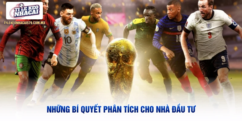 Những bí quyết phân tích cho nhà đầu tư