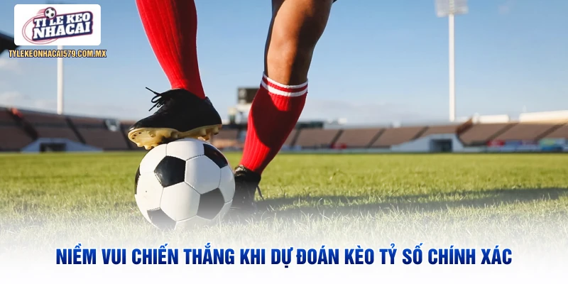Niềm vui chiến thắng khi dự đoán kèo tỷ số chính xác