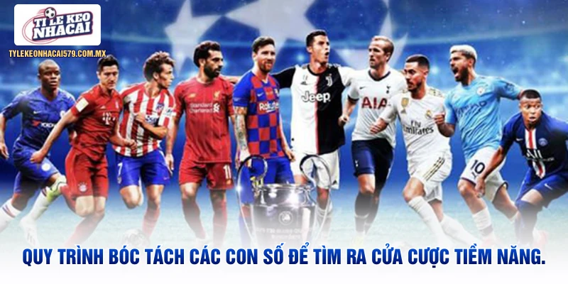Quy trình bóc tách các con số để tìm ra cửa cược tiềm năng