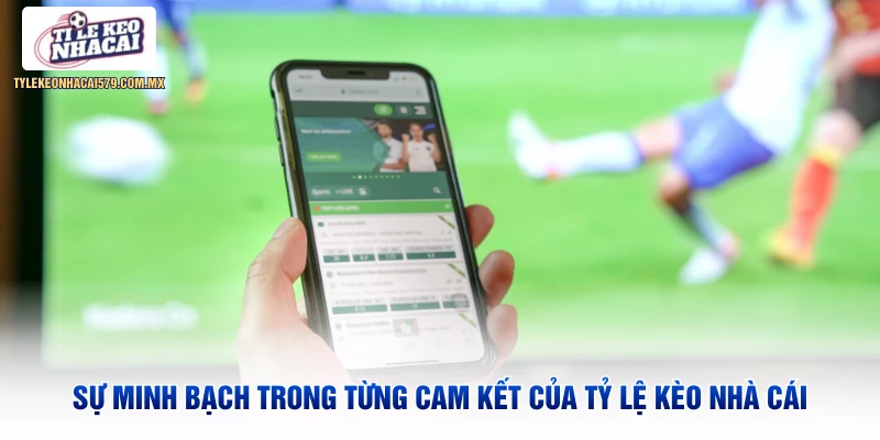 Sự minh bạch trong từng cam kết của Tỷ Lệ Kèo Nhà Cái