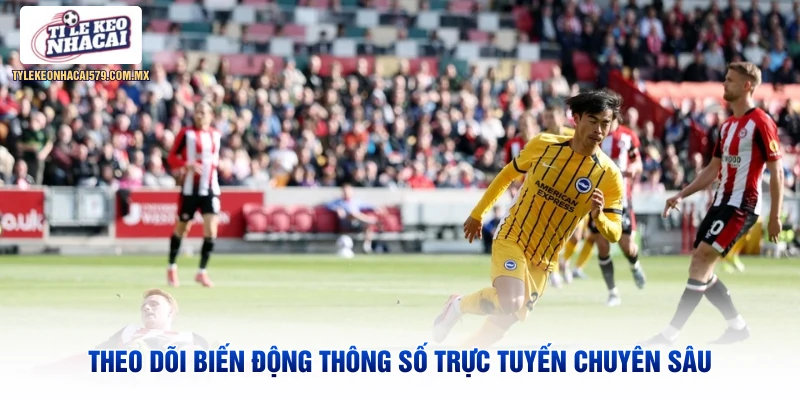 Theo dõi biến động thông số trực tuyến chuyên sâu
