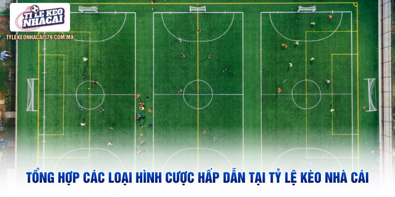 Tổng hợp các loại hình cược hấp dẫn tại Tỷ Lệ Kèo Nhà Cái