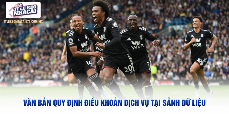 Văn bản quy định điều khoản dịch vụ tại sảnh dữ liệu